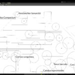 programu do projektowania ogrodów i zieleni Gardenphilia DESIGNER