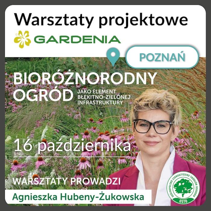 garden masterclass