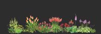 biblioteka roślin w programie do projektowania i wizualizacji 3D ogrodów